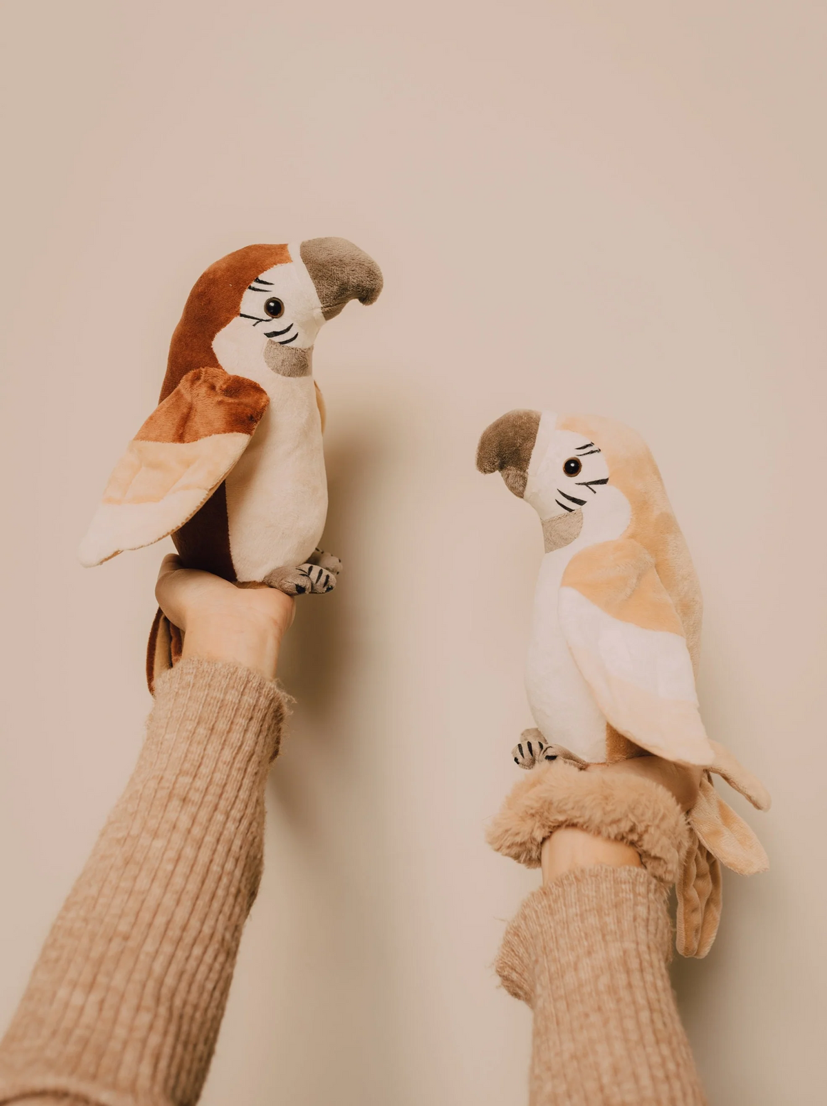 Pierre - The talking parrot - Rusted