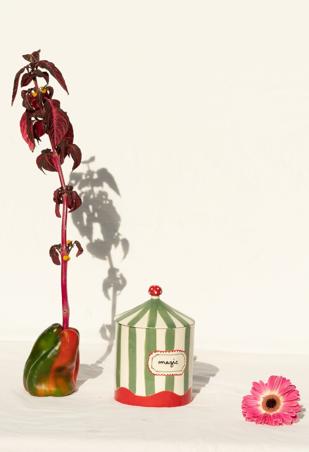 Laetitia Rouget Magic Box