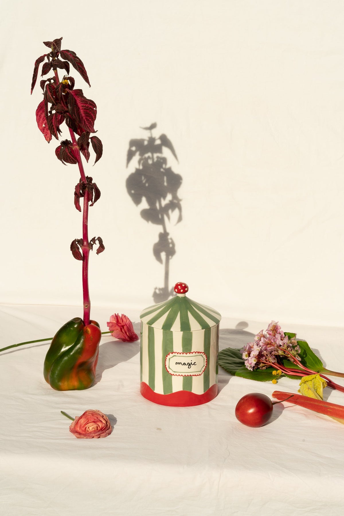 Laetitia Rouget Magic Box